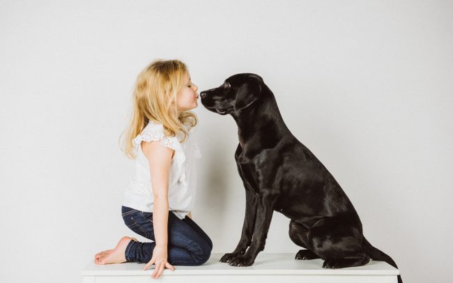 Hundefotografie Göttingen Kassel Harz